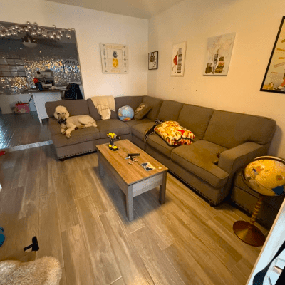 Move-In and Move-Out Cleaning